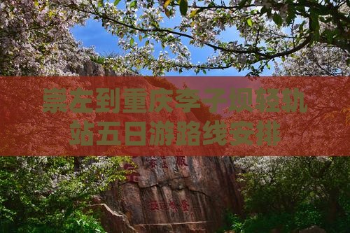崇左到重庆李子坝轻轨站五日游