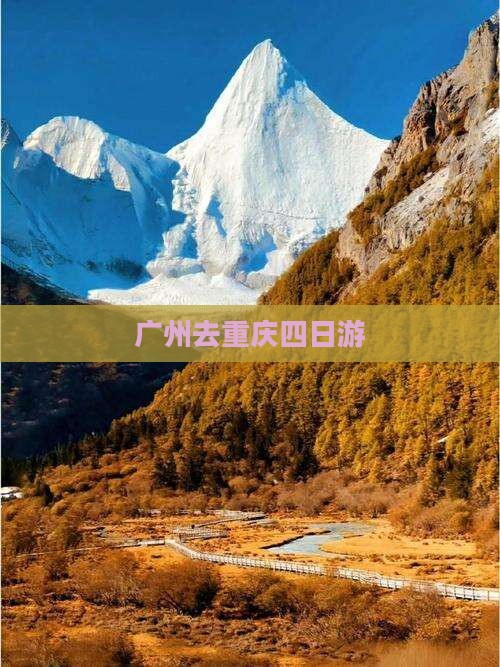 广州去重庆四日游 广州去重庆四日游
