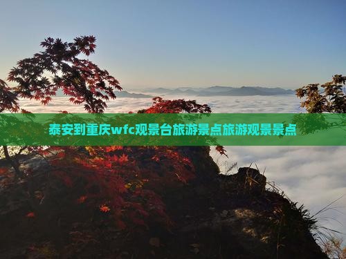 泰安到重庆wfc观景台哪里玩