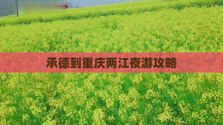 承德到重庆两江夜游个人游