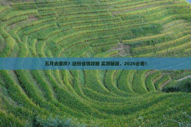 五月到重庆旅行社