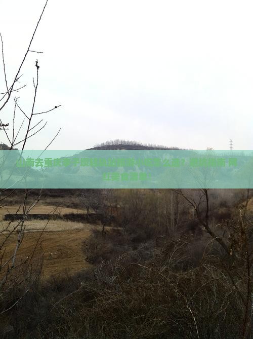 山南去重庆李子坝轻轨站旅游小吃
