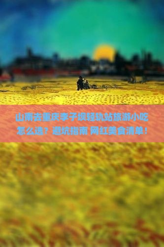 山南去重庆李子坝轻轨站旅游小吃