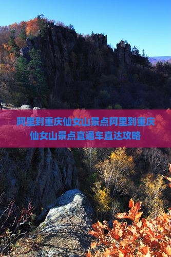 阿里到重庆仙女山景点