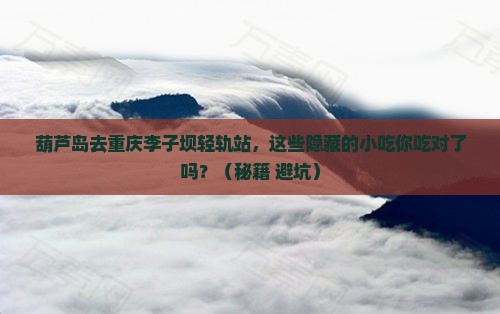 葫芦岛去重庆李子坝轻轨站旅游小吃