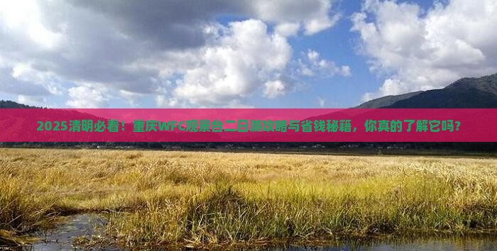 清明节到重庆wfc观景台二日游