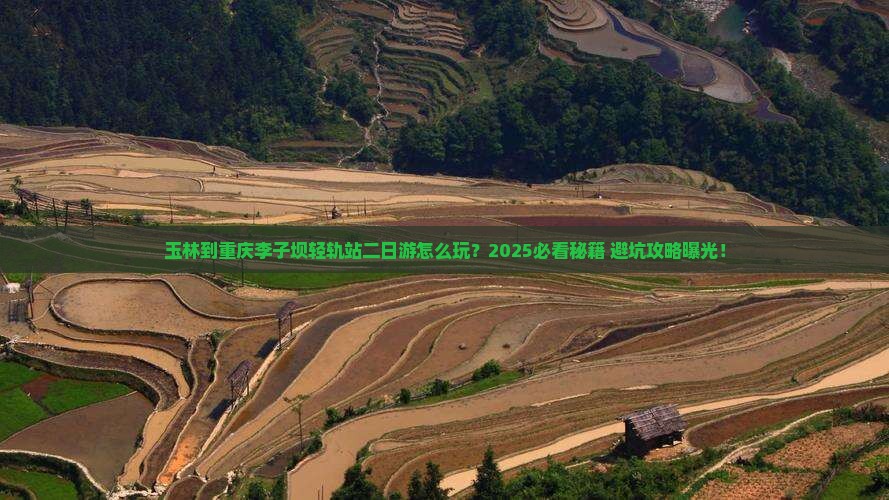 玉林到重庆李子坝轻轨站二日游