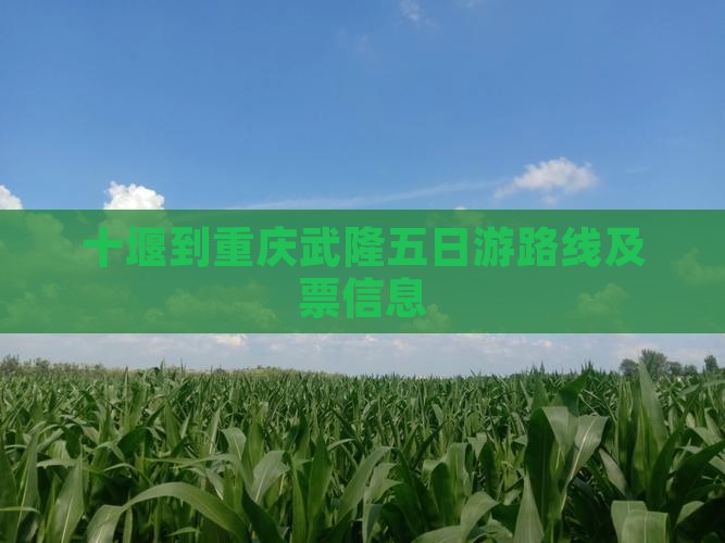 十堰到重庆武隆五日游
