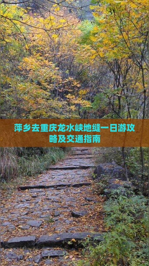 萍乡去重庆龙水峡地缝一日游攻略及交通指南