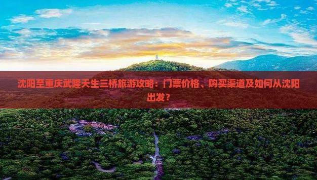 沈阳至重庆武隆天生三桥旅游攻略：门票价格、购买渠道及如何从沈阳出发？