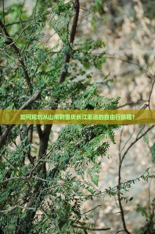 如何规划从山南到重庆长江索道的自由行旅程？