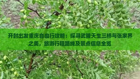 开封出发重庆自由行攻略：探寻武隆天生三桥与张家界之美，旅游行程路线及景点信息全览