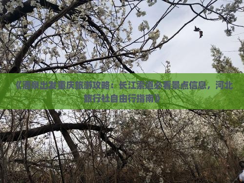 《酒泉出发重庆旅游攻略：长江索道必看景点信息，河北旅行社自由行指南》