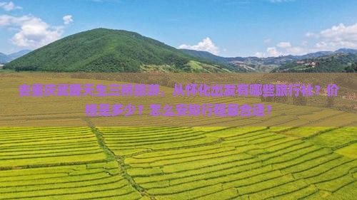 去重庆武隆天生三桥旅游，从怀化出发有哪些旅行社？价格是多少？怎么安排行程最合适？