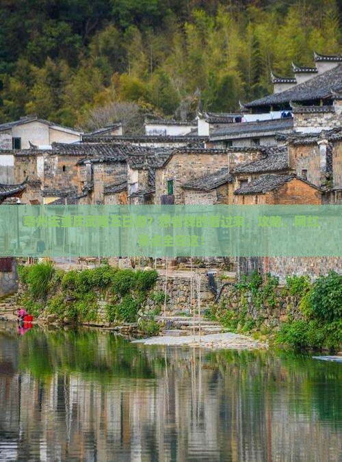 亳州去重庆武隆五日游？想省钱的看过来，攻略、网红景点全在这！