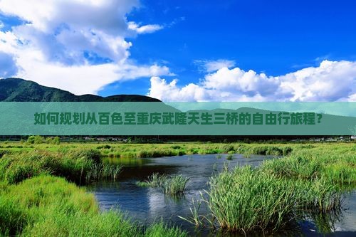 如何规划从百色至重庆武隆天生三桥的自由行旅程？