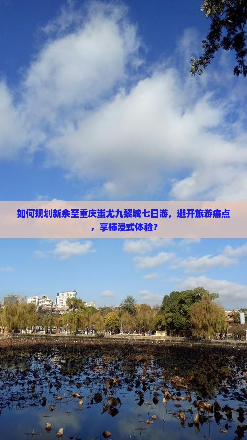 如何规划新余至重庆蚩尤九黎城七日游，避开旅游痛点，享柿浸式体验？