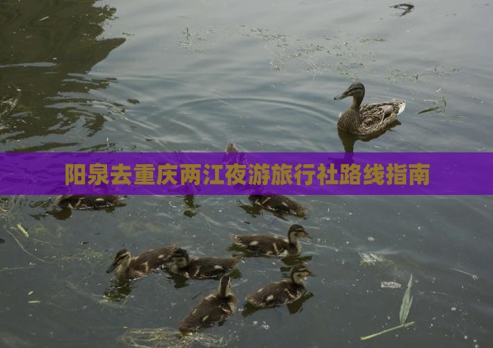 阳泉去重庆两江夜游旅行社路线指南
