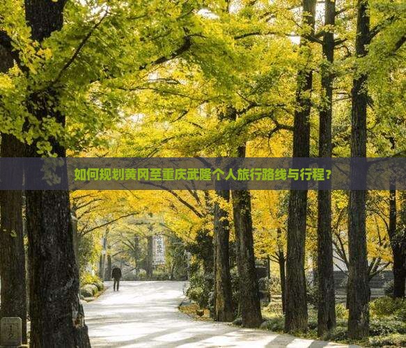 如何规划黄冈至重庆武隆个人旅行路线与行程？