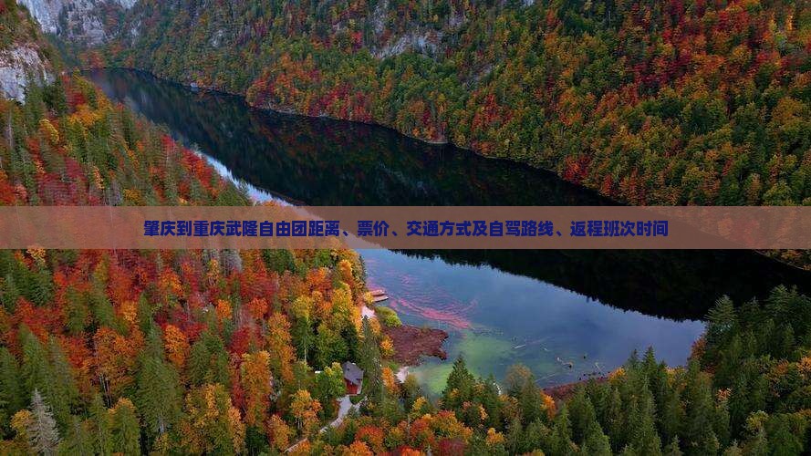 肇庆到重庆武隆自由团距离、票价、交通方式及自驾路线、返程班次时间