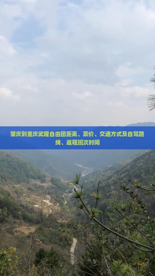 肇庆到重庆武隆自由团距离、票价、交通方式及自驾路线、返程班次时间