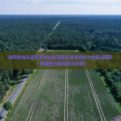 如何参加从西双版纳出发至重庆渣滓洞的大型旅游团队？有哪些行程特色与优惠？