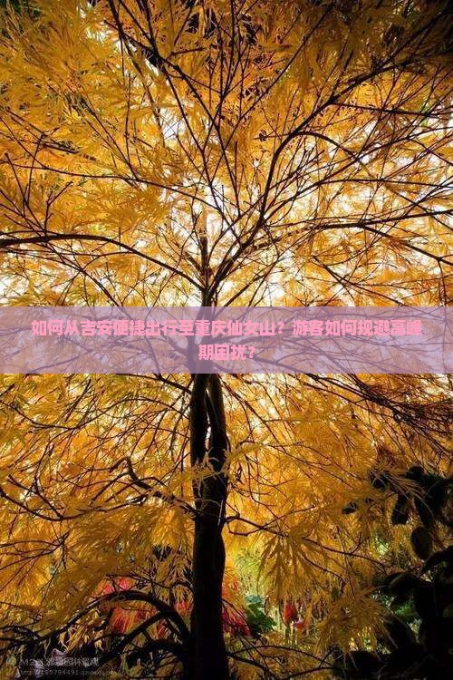 如何从吉安便捷出行至重庆仙女山?游客如何规避高峰期困扰? 如何从吉安便捷出行至重庆仙女山?游客如何规避高峰期困扰?