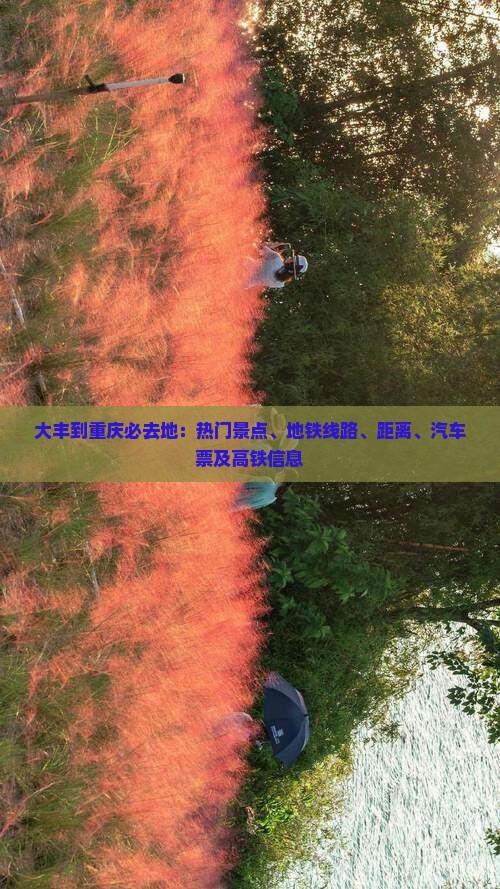 大丰到重庆必去地：热门景点、地铁线路、距离、汽车票及高铁信息