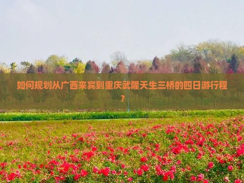 如何规划从广西来宾到重庆武隆天生三桥的四日游行程？