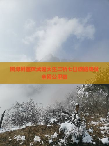 鹰潭到重庆武隆天生三桥七日游路线及全程公里数