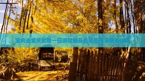 宝鸡去重庆武隆一日游攻略及自驾路线与费用估算