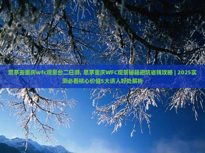 思茅去重庆wfc观景台二日游