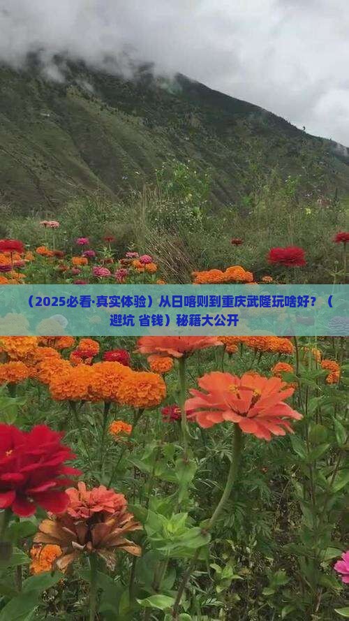 日喀则到重庆武隆哪里玩