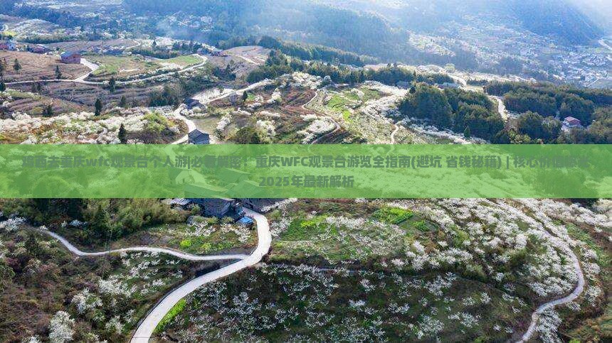 鸡西去重庆wfc观景台个人游 鸡西去重庆wfc观景台个人游