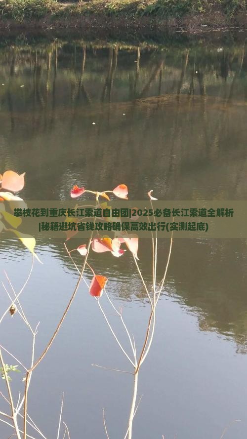 攀枝花到重庆长江索道自由团 攀枝花到重庆长江索道自由团
