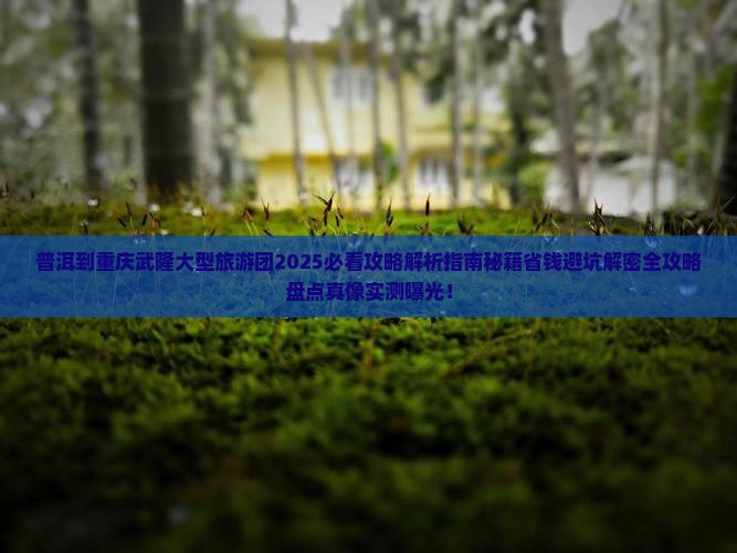 普洱到重庆武隆大型旅游团