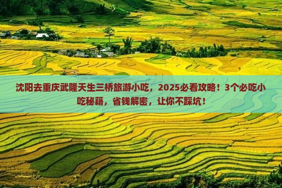 沈阳去重庆武隆天生三桥旅游小吃