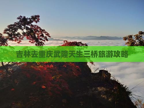 吉林去重庆武隆天生三桥自由行