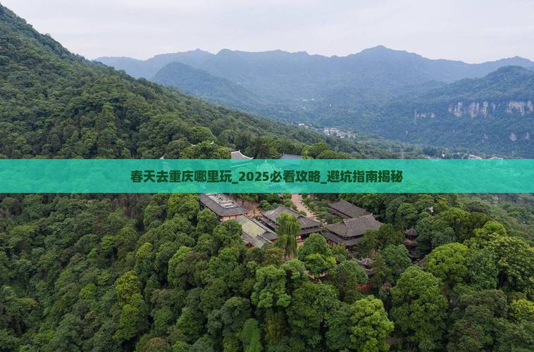 春天去重庆哪里玩