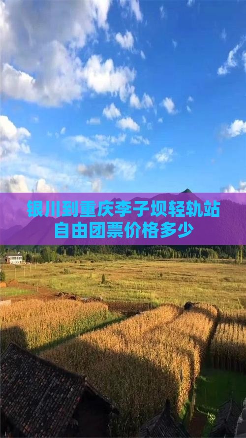 银川到重庆李子坝轻轨站自由团
