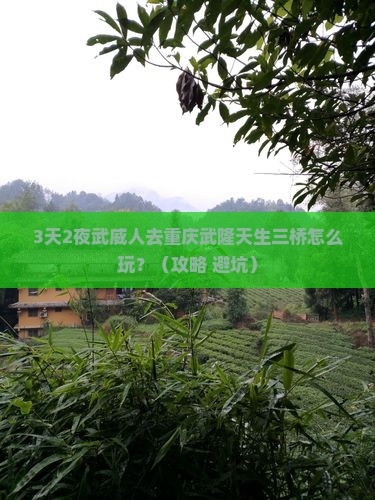 武威去重庆武隆天生三桥个人游