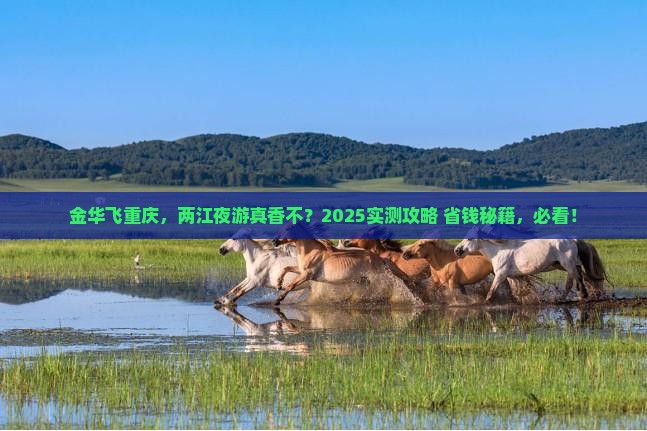 金华到重庆两江夜游攻略