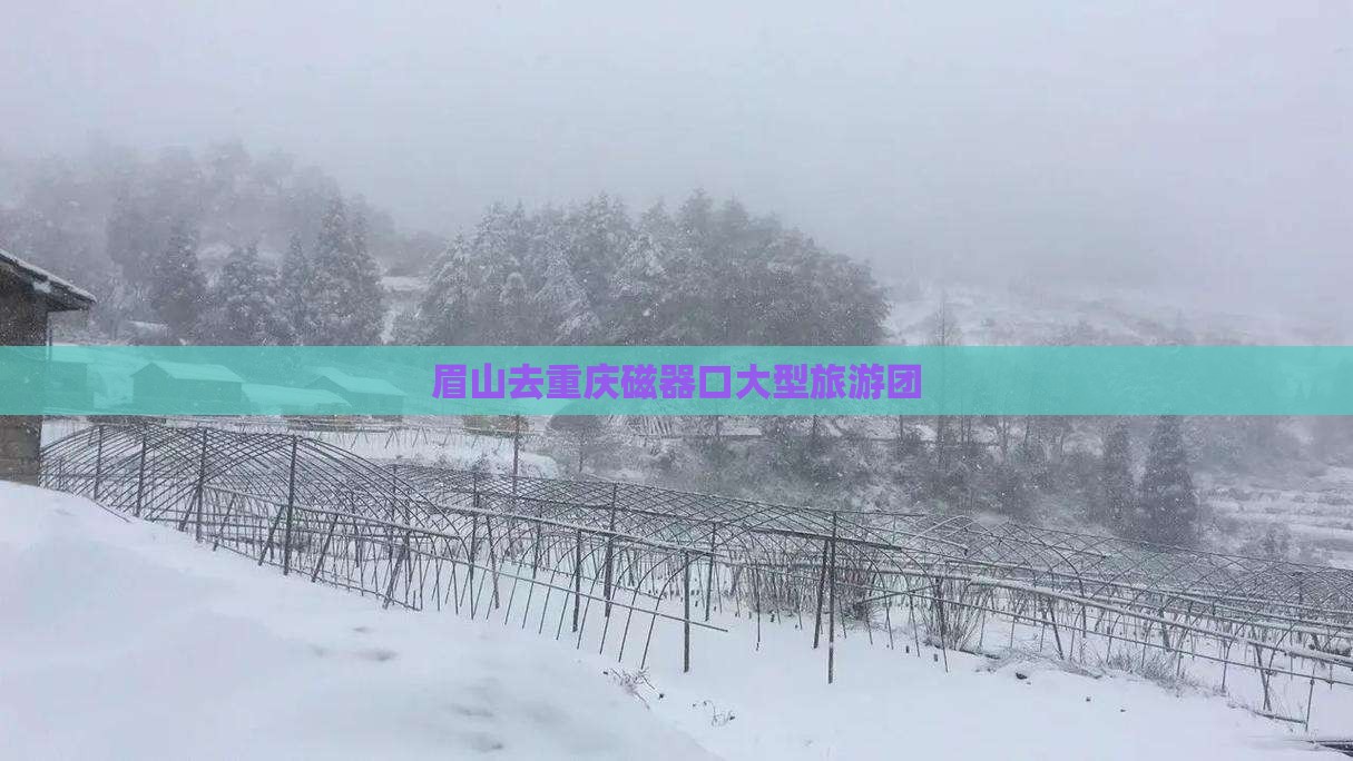 眉山去重庆磁器口大型旅游团