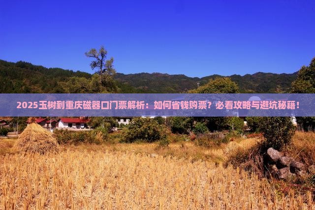 玉树到重庆磁器口门票