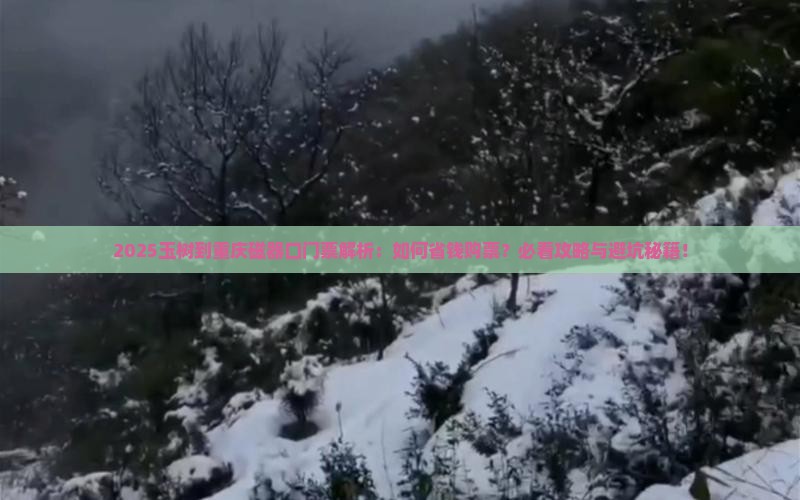 玉树到重庆磁器口门票