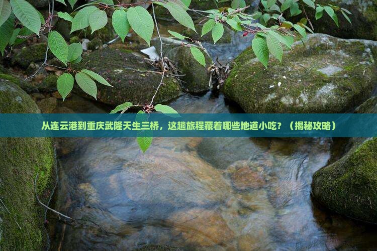 连云港到重庆武隆天生三桥旅游小吃