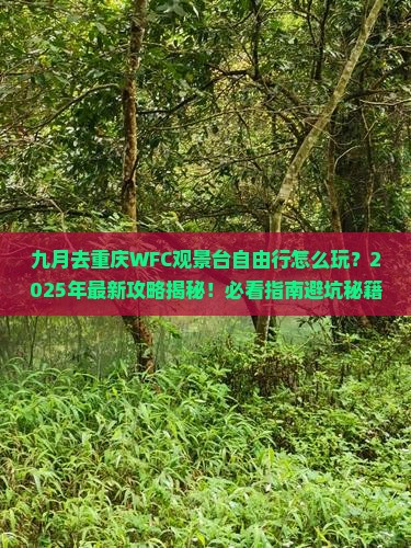 九月去重庆wfc观景台自由行 九月去重庆wfc观景台自由行