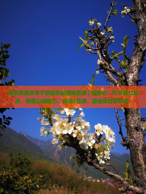 南京到重庆李子坝轻轨站团体旅游