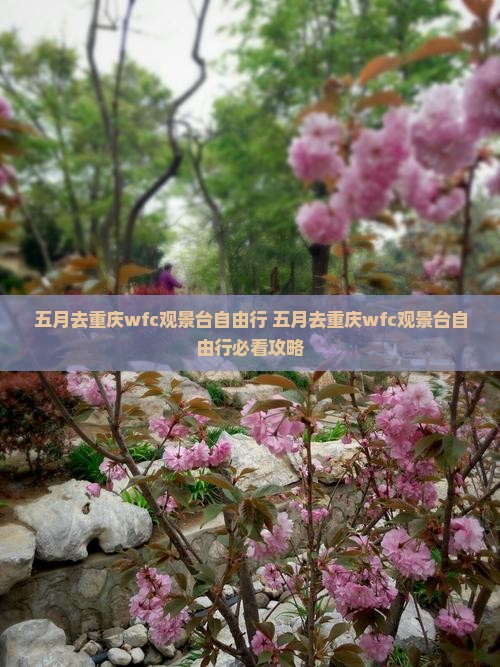 五月去重庆wfc观景台自由行