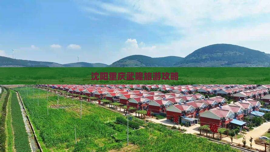 沈阳去重庆武隆个人游